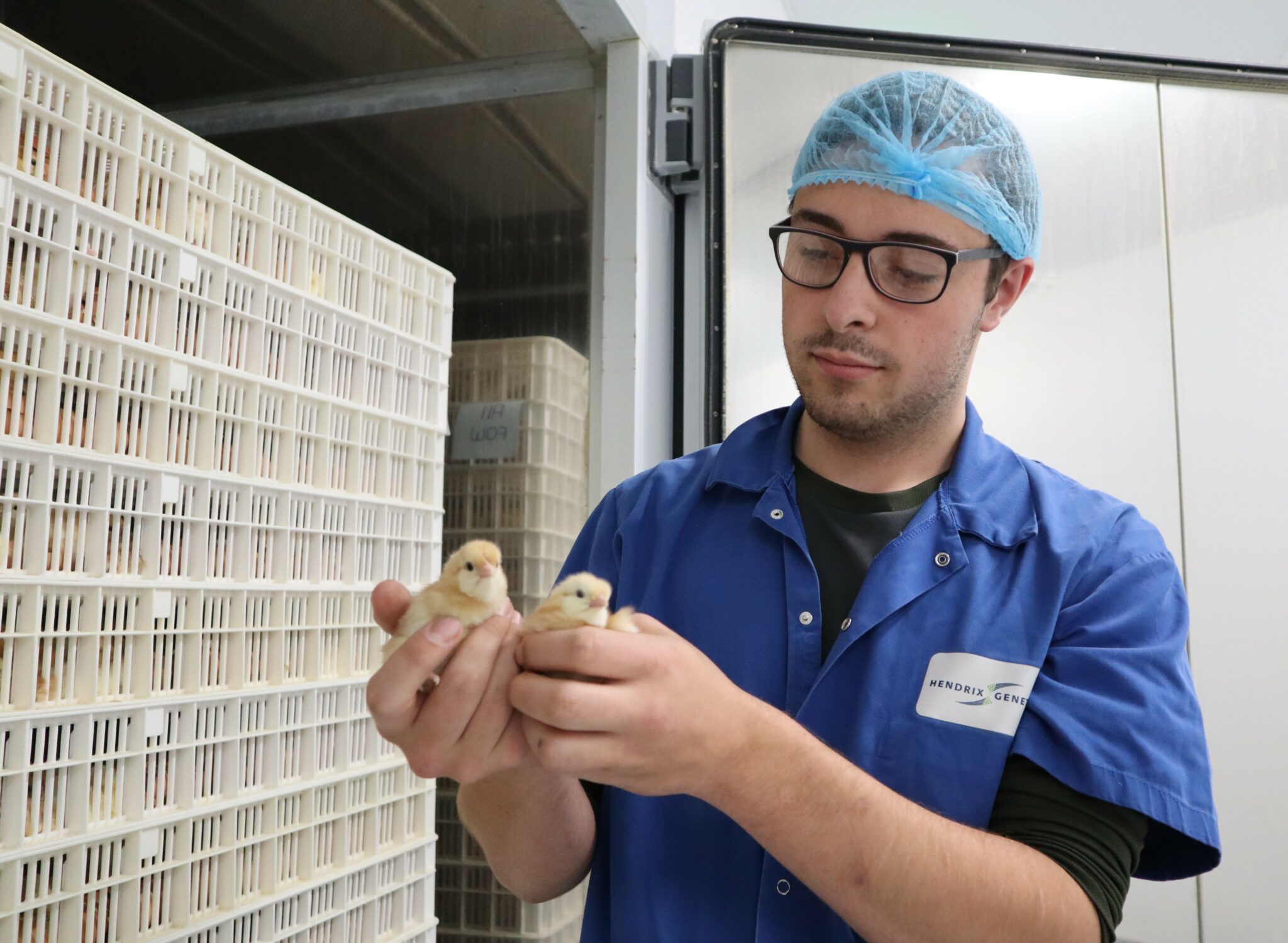 animal breeder apprenticeships animal breeder apprenticeships